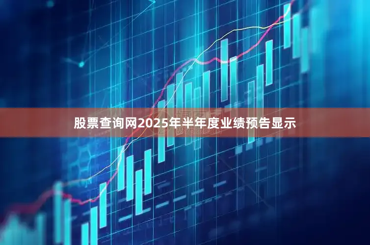 股票查询网2025年半年度业绩预告显示