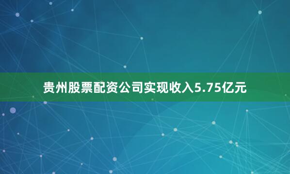 贵州股票配资公司实现收入5.75亿元