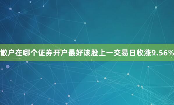 散户在哪个证券开户最好该股上一交易日收涨9.56%