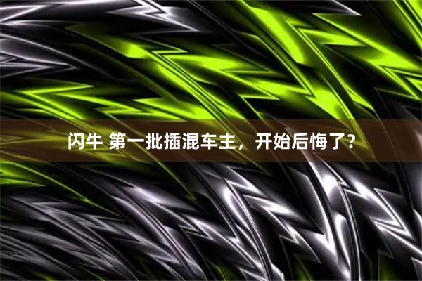 闪牛 第一批插混车主，开始后悔了？